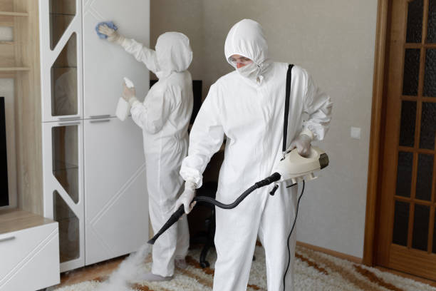 Best Mold Removal and Inspection  in Hebron, PA
