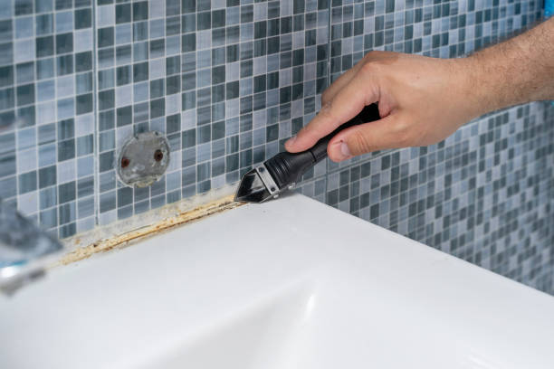 Best Residential Mold Removal  in Hebron, PA